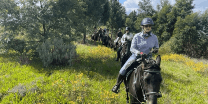 Franschhoek: Full-Day Horseback Riding and Wine Tasting Tour - Riding Experience