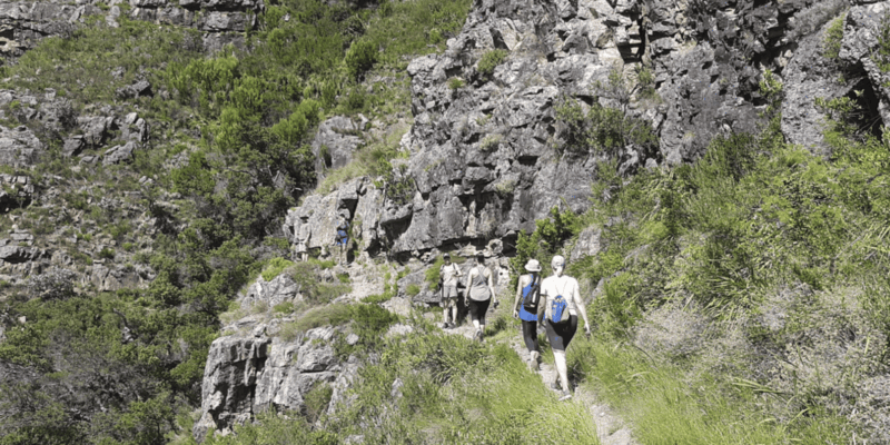 Franschhoek: Half Day Guided Nature Hike and Wine Tasting - Wine Tasting Experience