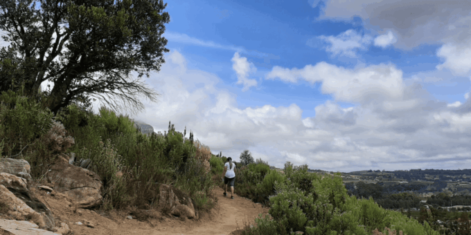Franschhoek: Half Day Guided Nature Hike and Wine Tasting - Booking and Cancellation