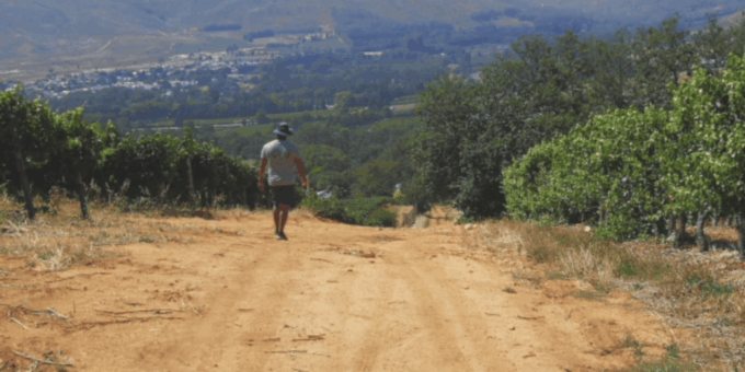 Franschhoek: Half Day Guided Nature Hike and Wine Tasting - Frequently Asked Questions