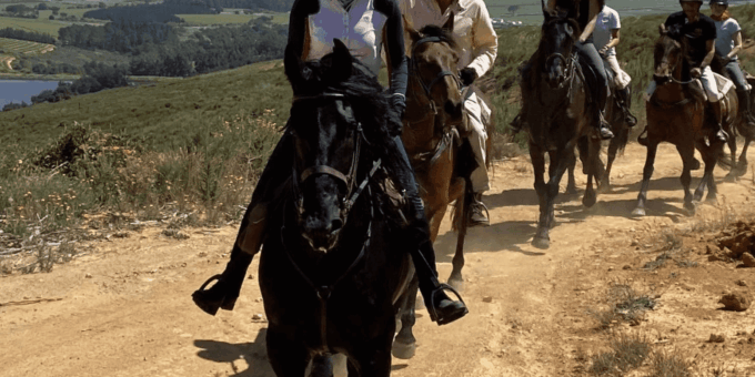 Franschhoek: Half Day Horse Trail and Wine Tasting - About the Horse Trail