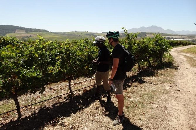 Franschhoek Half Day Winelands Cycle Tour - Inclusions and Pricing