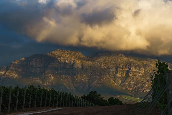Franschhoek Half Day Winelands Cycle Tour - Tour Accessibility and Suitability