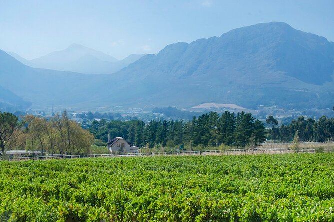 Franschhoek Half Day Winelands Cycle Tour - Booking and Confirmation Process