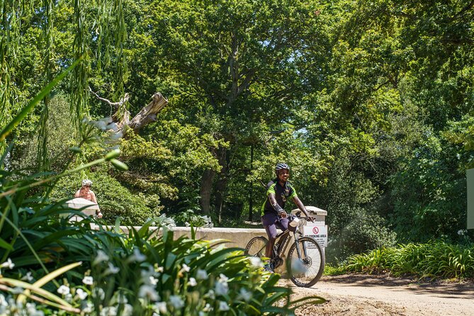 Franschhoek Half Day Winelands Cycle Tour - Customer Ratings and Reviews