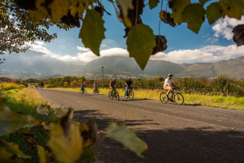 Franschhoek: Private E-bike Ride & Wine Experience - Cycling to Glenwood Vineyards