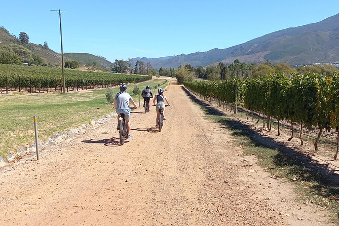 Franschhoek Shared E-Bike and Wine Tour - Pricing and Booking