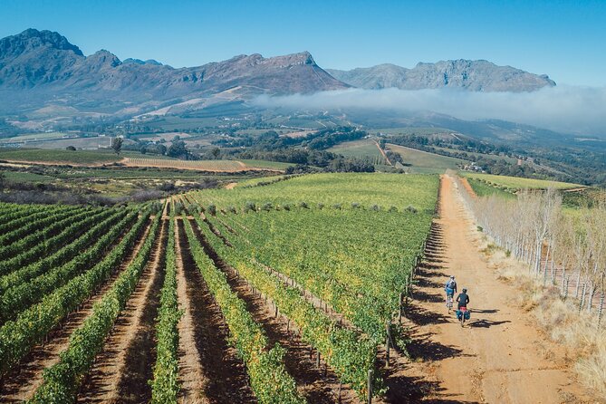 Franschhoek Sip & Cycle Experience Full Day - Private Tour - Additional Information