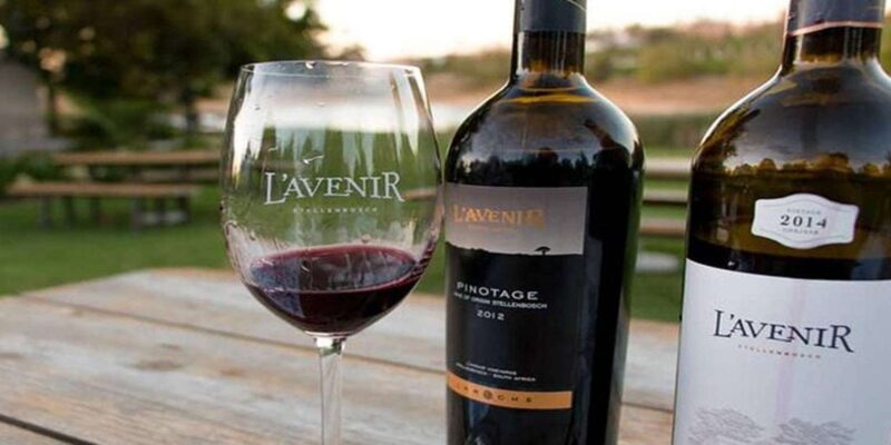 Franschhoek Tram Wine Tasting Full-Day Experience - Inclusions and Costs