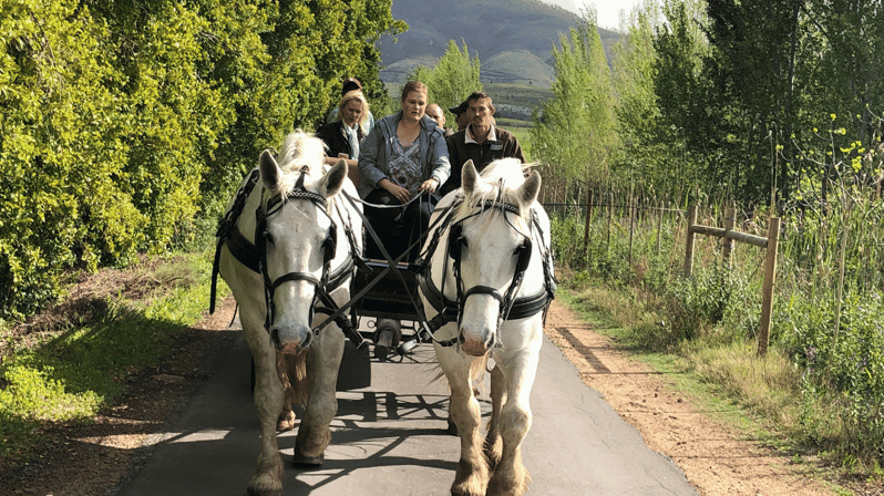 Franschhoek: Vrede En Lust Wine Estate 1H Carriage Ride - Pricing and Reservation Information