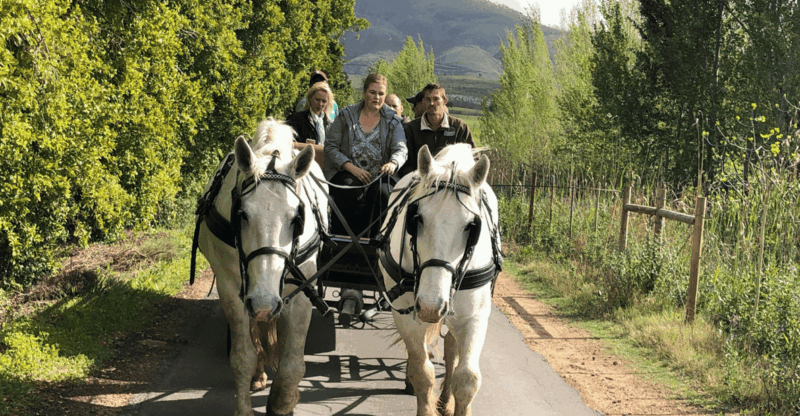 Franschhoek: Vrede En Lust Wine Estate 1H Carriage Ride - Exploring the Franschhoek Valley