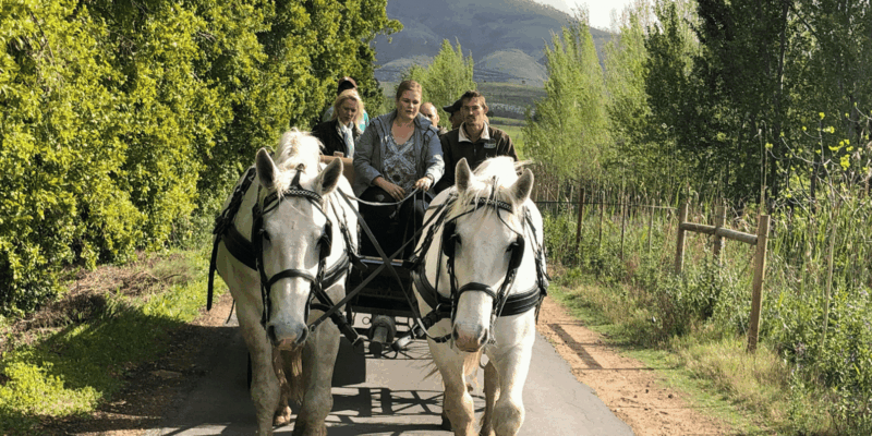 Franschhoek: Vrede En Lust Wine Estate 1H Carriage Ride - Enjoying Regional Flavors