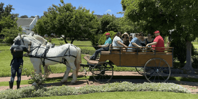 Franschhoek: Vrede En Lust Wine Estate 1H Carriage Ride - What to Bring and Restrictions