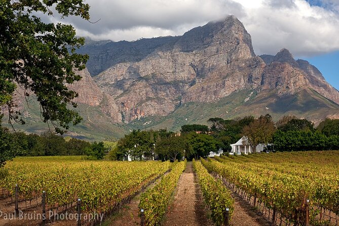 Franschhoek Wine Tram Hop-On Hop-Off Tour From Cape Town. - Highlights of the Franschhoek Wine Region
