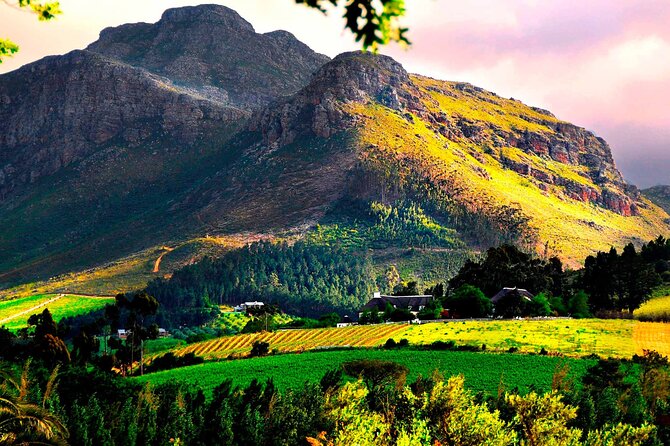 Franschhoek Wine Tram Hop-On Hop-Off Tour From Cape Town. - Booking and Pricing Information