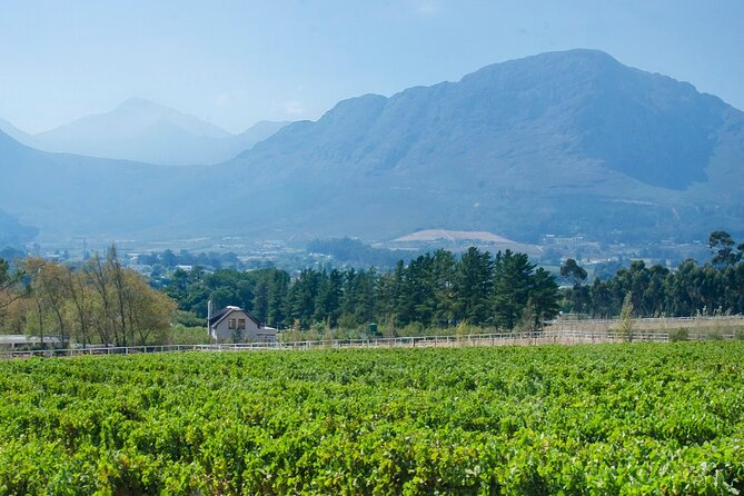 Franschhoek Winelands Luxury EBike Tour - Participant Requirements