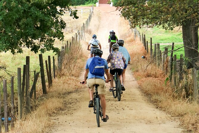 Franschhoek Winelands Luxury EBike Tour - Customer Reviews and Feedback