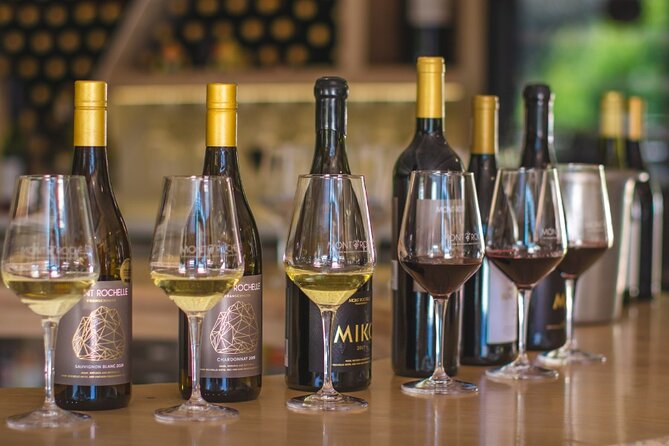 Franschhoek Winelands Luxury EBike Tour - Tips for an Amazing Experience