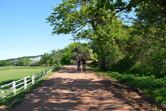 Franschhoek Winelands Meander © - Premium Wine Tastings