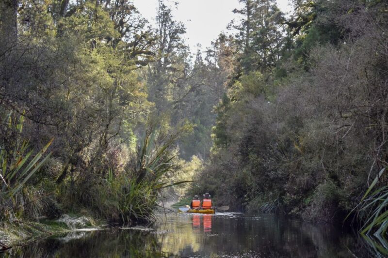 Franz Josef: 3-Hour Kayak Tour on Lake Mapourika - Included Experiences