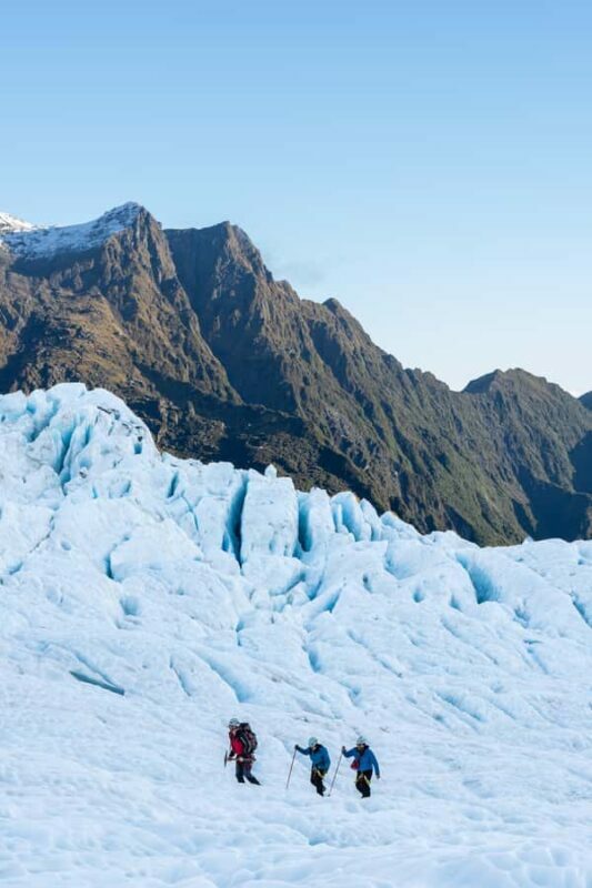 Franz Josef: Bespoke Small Group Heli-Hike with Lunch - Key Points: