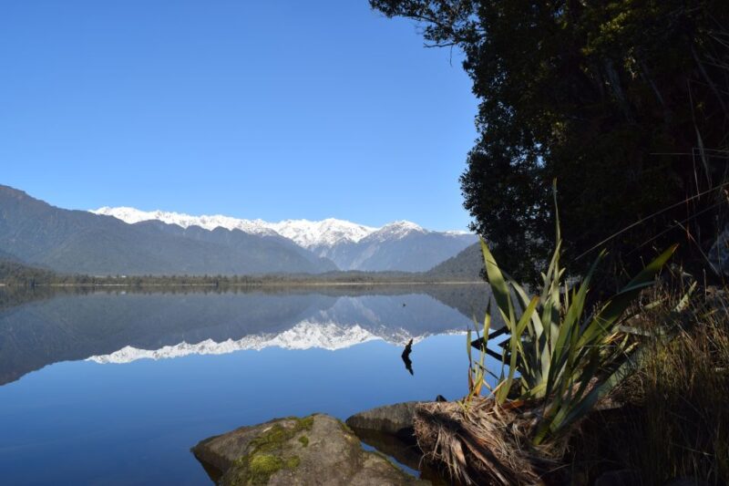 Franz Josef Glacier: 2.5-Hour Lake Mapourika Cruise and Walk - Experience Highlights