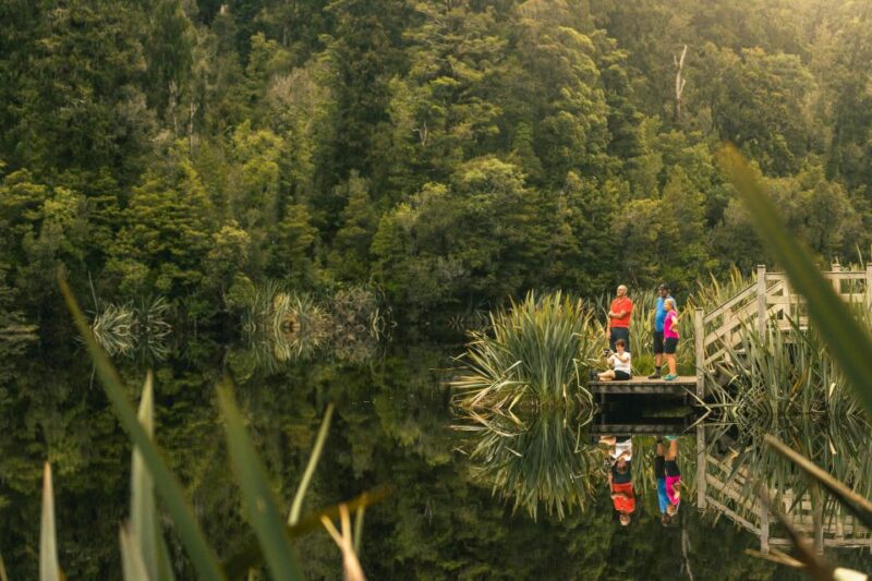 Franz Josef: Half-Day Nature Tour to Lake Matheson - Tour Details