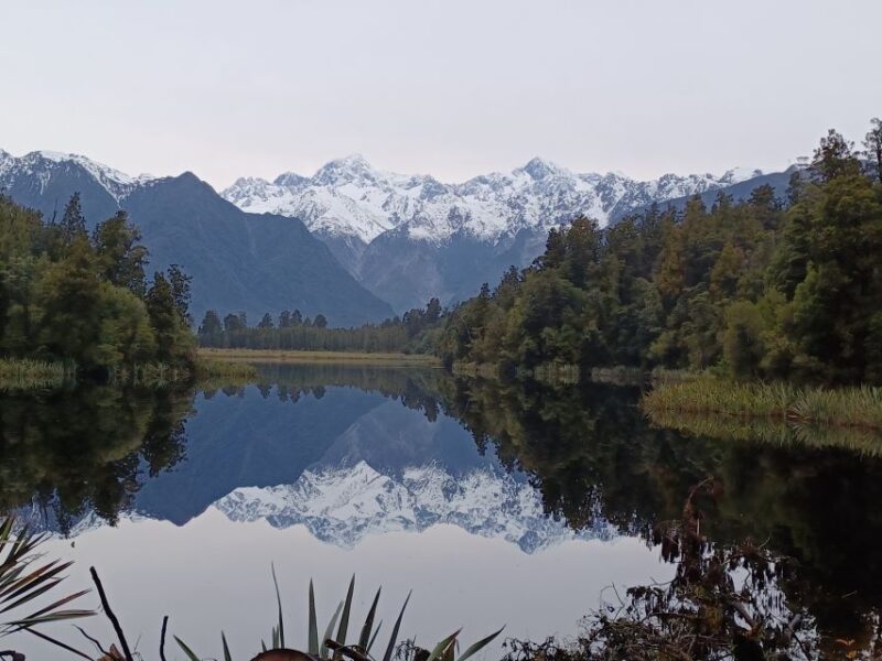 Franz Josef: Half-Day Nature Tour to Lake Matheson - Important Information