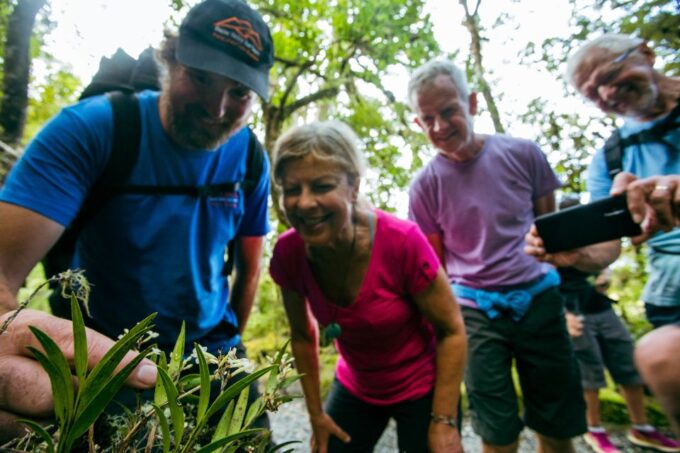 Franz Josef: Half-Day Nature Tour to Lake Matheson - Group Size and Language