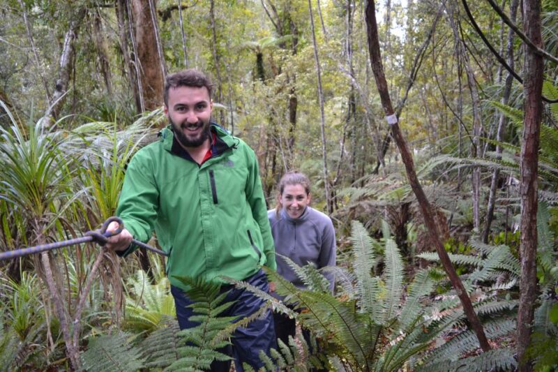Franz Josef: Kayak & Walking Tour to Okarito Kiwi Sanctuary - Customer Reviews and Ratings