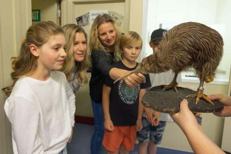 Franz Josef: Kiwi VIP Backstage Pass Tour -Booking Essential - Who Is This Tour Best Suited For?