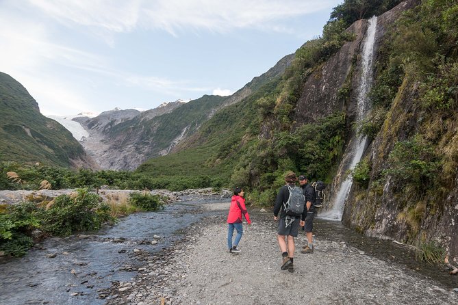 Franz Josef Nature Tour - Accessibility and Equipment