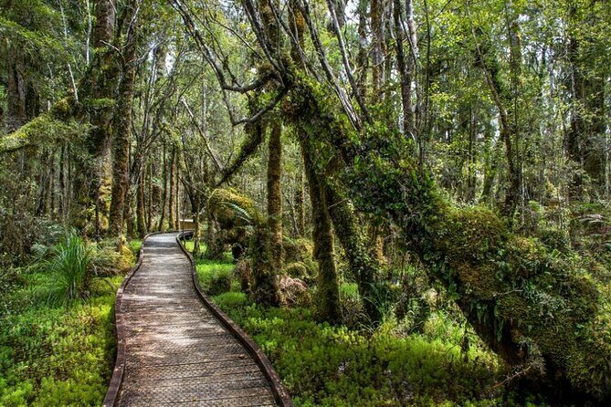 Franz Josef to Queenstown Small Group Tour via Wanaka 1 -Way - Who Will Love This Tour?