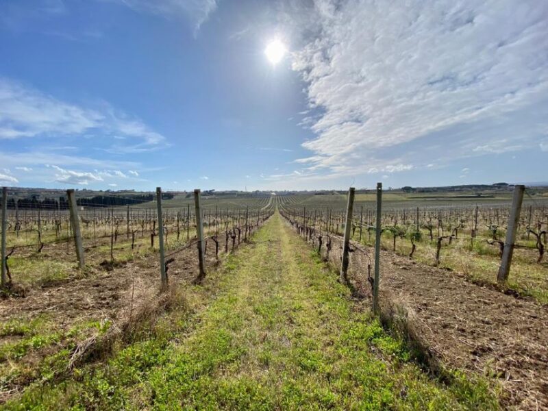 Frascati: Tour in E-Bike With Wine Tasting - Customer Reviews