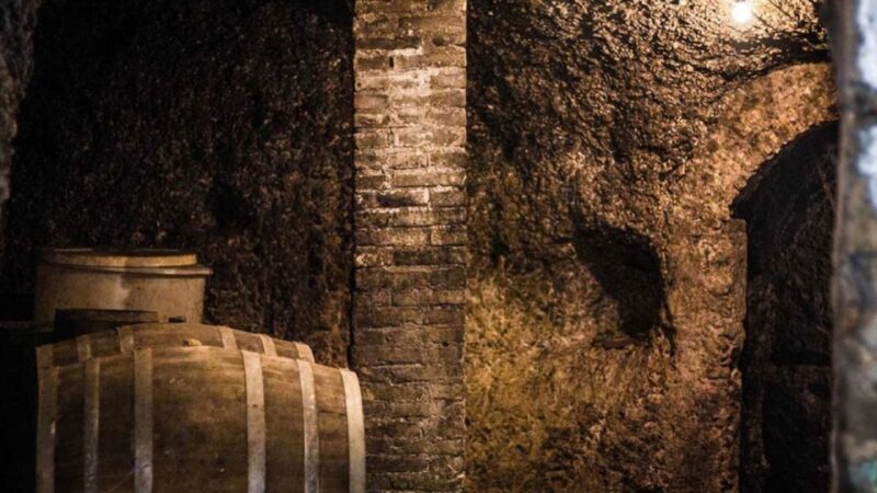 Frascati Wine Road From Rome: Tasting & Lunch - Important Information