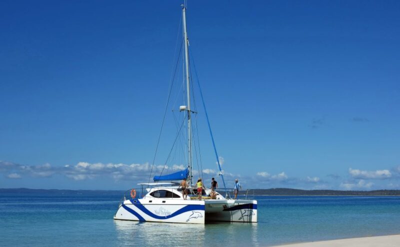 Fraser Island 4-Hour Eco-Sailing Adventure - Over 30 Years of Expertise