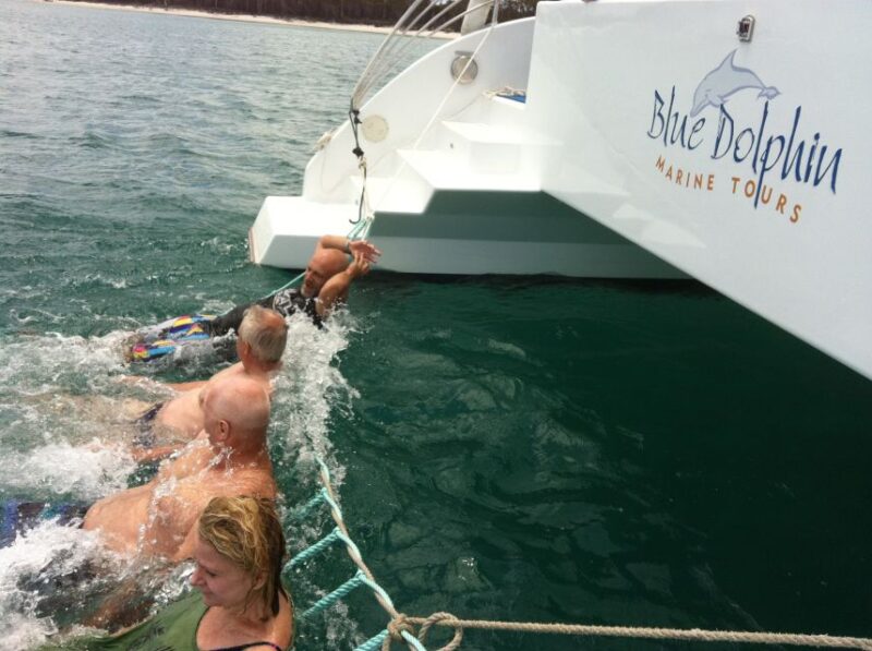 Fraser Island 4-Hour Eco-Sailing Adventure - Opportunities to Spot Marine Life
