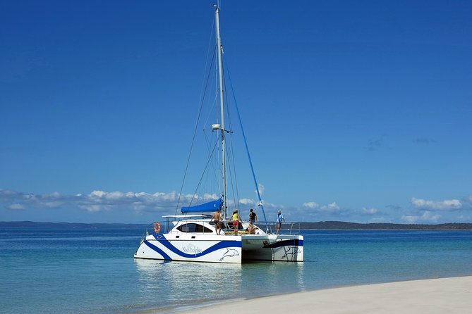 Fraser Island & Dolphin Sailing Adventure - Wildlife Viewing Opportunities