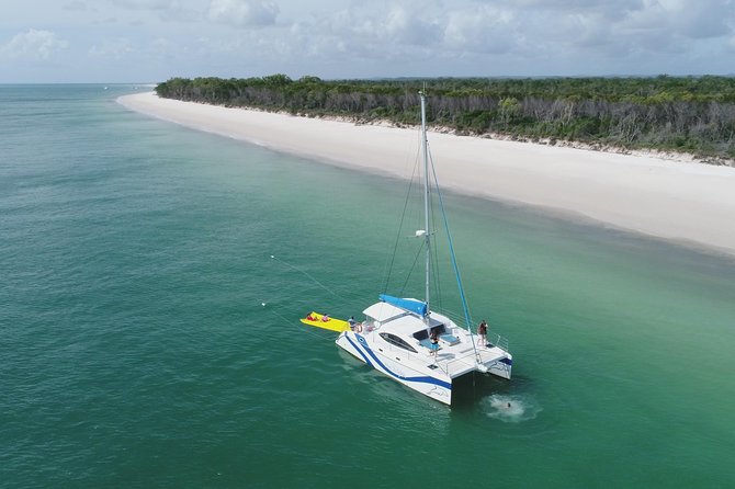 Fraser Island & Dolphin Sailing Adventure - Guest Reviews