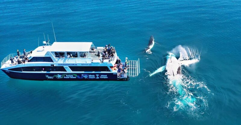 Fraser Island (Kgari): Remote Island and Whale Experience - Discovering Remote Corners of Kgari
