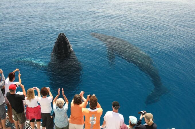 Fraser Island (Kgari): Remote Island and Whale Experience - Delectable Meal Offerings