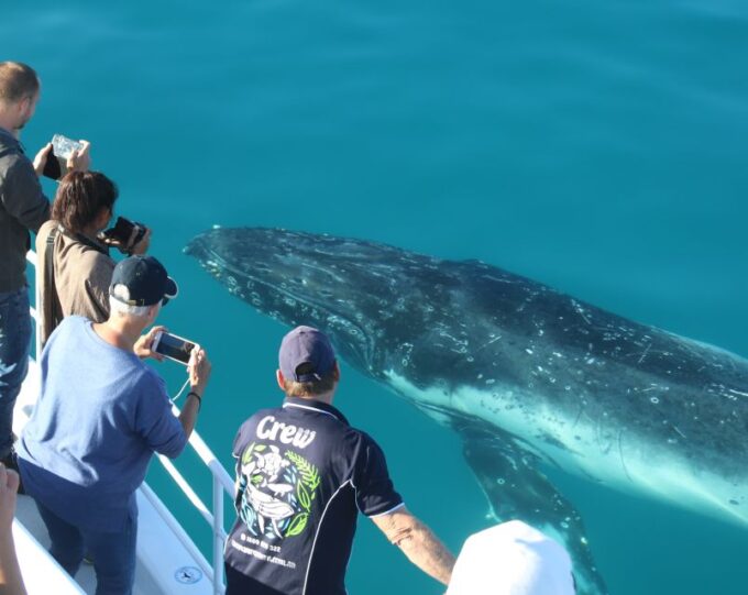 Fraser Island (Kgari): Remote Island and Whale Experience - Guided Nature Walks