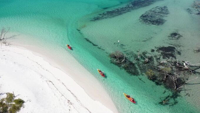 Fraser Island (Kgari): Remote Island and Whale Experience - Water Sports and Activities