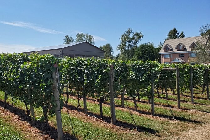 Fraser Valley Wine Tour With a Light Lunch From Vancouver - Group Size and Inclusions