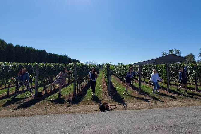 Fraser Valley Wine Tour With a Light Lunch From Vancouver - Light Lunch Details