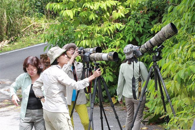 Frasers Hill Bird-Watching & Nature Sightseeing Tour From Kuala Lumpur - Pickup and Drop-off Information