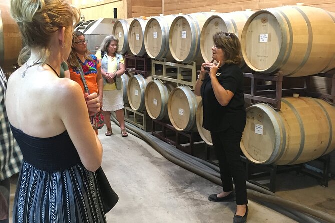 Fredericksburg Hill Country Aficionado Wine Tour From San Antonio - Key Points