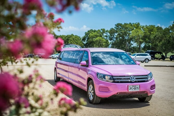 Fredericksburg Private Wine Tour Volkswagen Limo - Exciting Vineyard Excursions