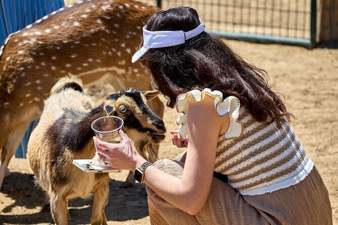 Fredericksburg Safari Tour Without Wine Tasting - Discovering the Fredericksburg Safari Tour Without Wine Tasting