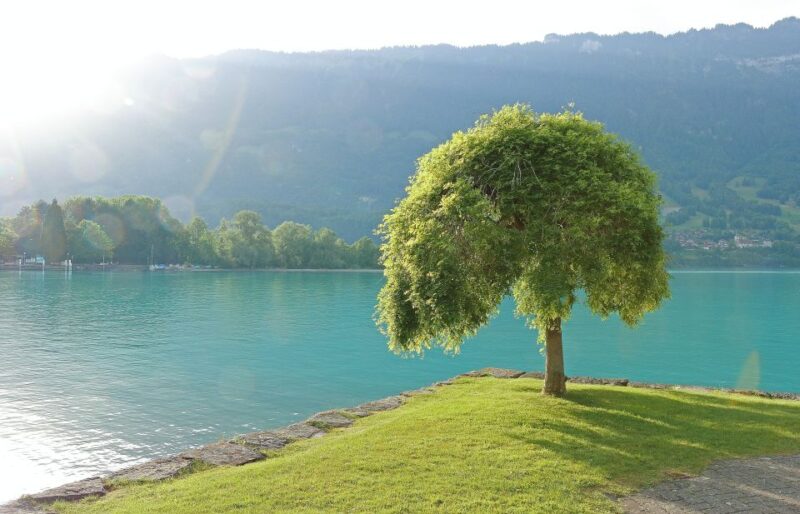 Free-Day in Interlaken Village From Lausanne - Key Points